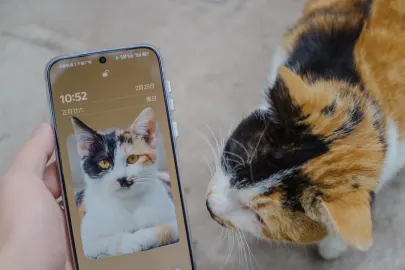 Веспър Казино Мобилно приложение